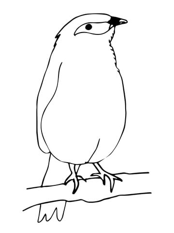 Mynah Bird Coloring Page